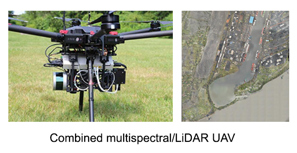 Surveillance with Unmanned Aerial Systems (UAV)​